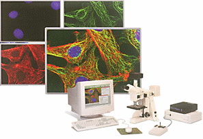 Optigrid ���۽�����ģ��