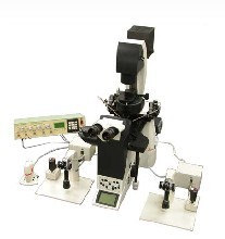 ��΢������