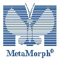 ����ͼ�������������