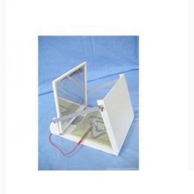 ������/������