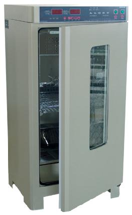 ����������/����������/������