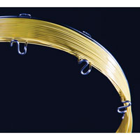 Rt-Msieve 5A ����ʯӢPLOT��