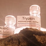 ���ײ�����������ø