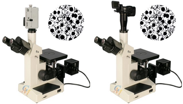 ���൹����΢�� GMM-200���̹�Ӧ