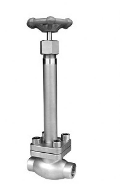 ���ڵ�����