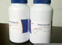 ���ô�Silicycle����