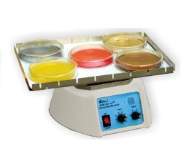 ����/����