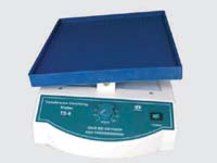 ת����ɫҡ���������棩