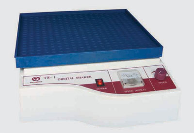 ��ɫҡ���������棩