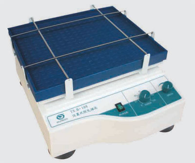 ����ʽ��ɫҡ��