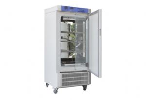 �޷�����������������/����������