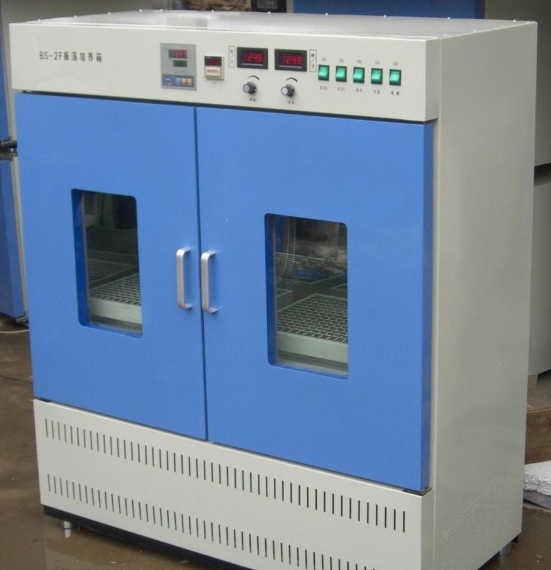 ����ҡ��