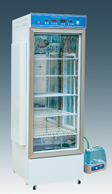 ���ӷ�ѿ������ ����������