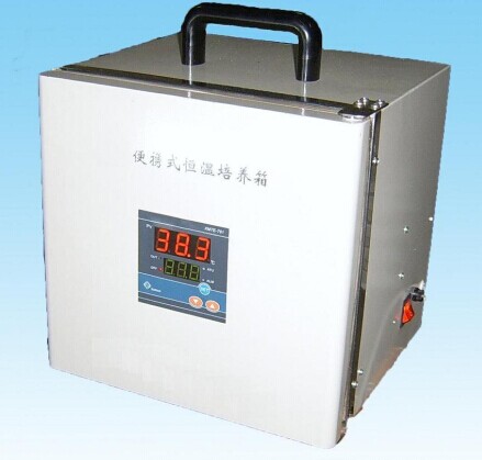 ��Яʽ���������� ����������