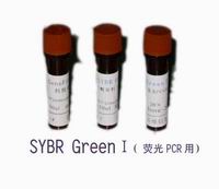 SYBR Green IȾ��(ӫ�ⶨ��PCR)