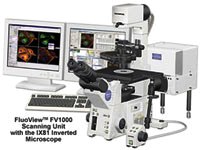 ���۽���΢��