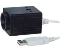 רҵ�������