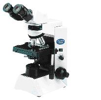 ���ְ�˹������΢��