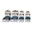 ��ʽ������ 