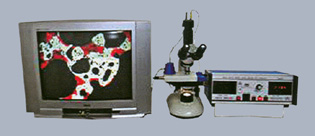 WRX-1S��΢�ȷ����� 