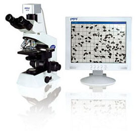 PIP8.1����ͼ������