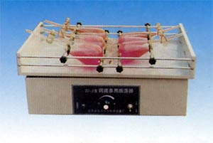 ���ϵ�������