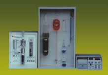 ̼�������  