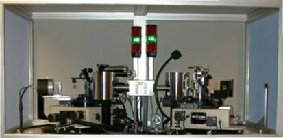 STOE STADI P��ĩ������