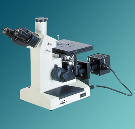 ������΢����ɫ��