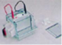 ����ƿ ���̶� 150ml �轺��