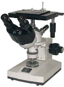 ˫Ŀ������΢�� 