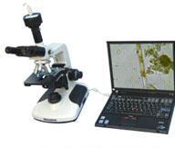 ��Ƶ��΢�� 