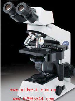 ӫ����΢�� 