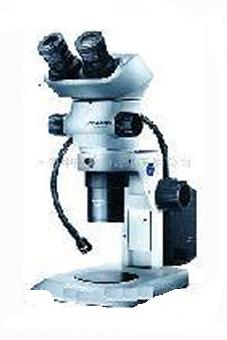 ������΢�� :