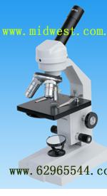 ������΢�� 