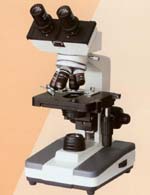 ������΢�� 