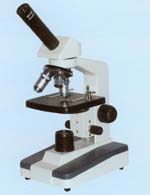 ������΢�� 