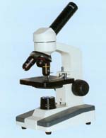 ������΢��