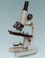 ������΢�� 