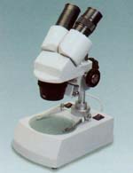 ������΢�� 