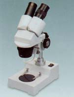 ������΢�� 