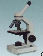 ������΢��