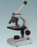 ������΢�� 