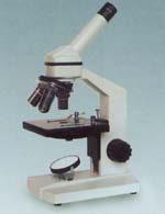 ������΢�� 