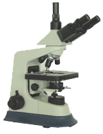 ������΢�� 