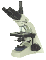 ������΢��