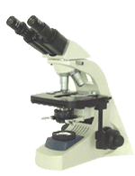 ������΢�� 