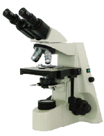 ������΢�� 