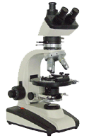 ������΢�� 