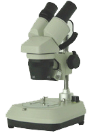 ������΢��